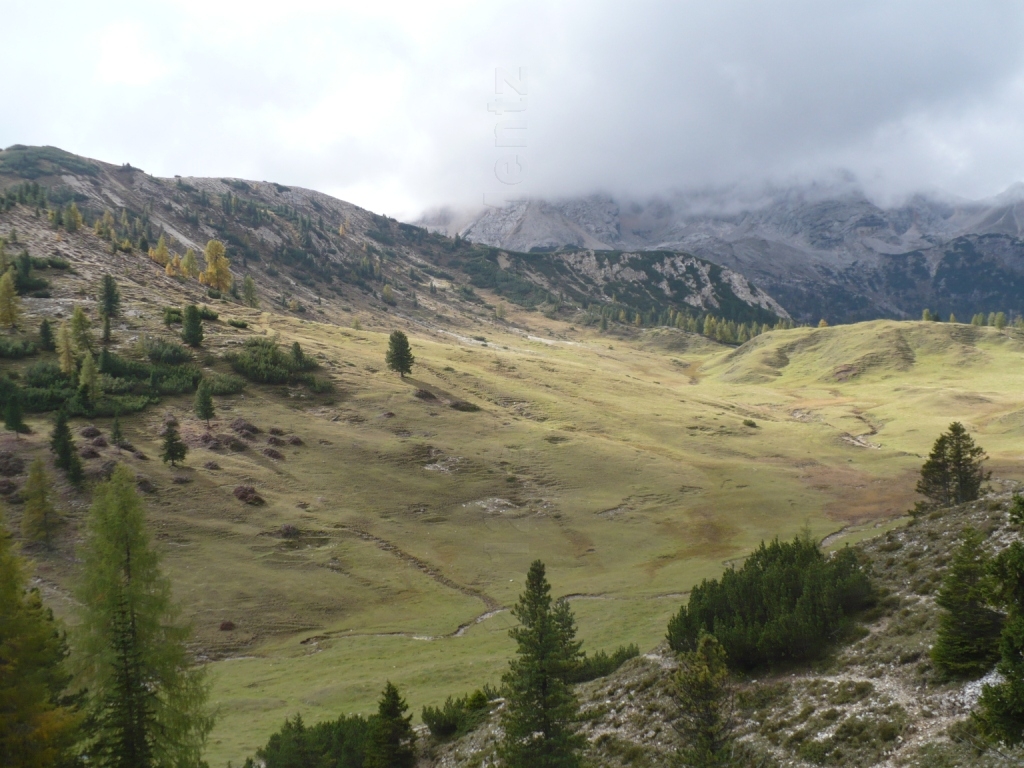 Images/3 Suedtirol_ Ploetzwiese (158).jpg